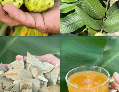 El remedio natural que está revolucionando la salud: adiós a la hipertensión y más El remedio natural que está revolucionando la salud: adiós a la hipertensión y más