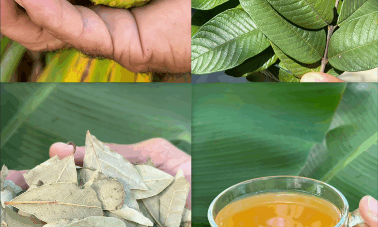 El remedio natural que está revolucionando la salud: adiós a la hipertensión y más