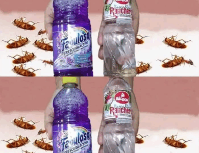 limpia tu piso y a la vez elimina las cucarachas y otros insectos