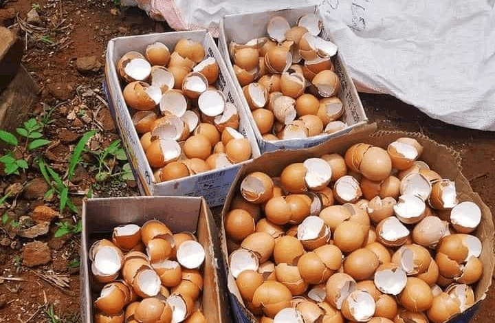 este es un fertilizante natural super economico y como funciona