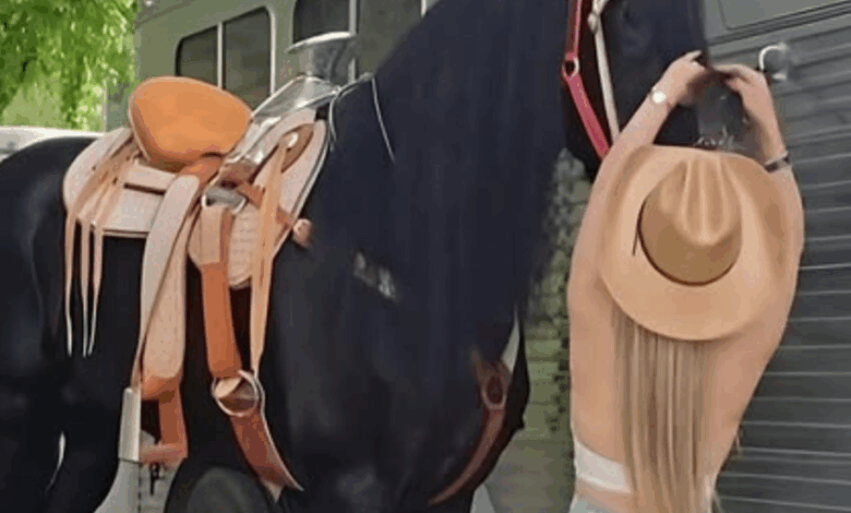 El hombre pidió el divorcio después de recibir esta foto: ¿Puedes adivinar por qué?