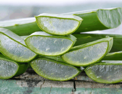 Aloe Vera: Beneficios y Formas Correctas de Consumo