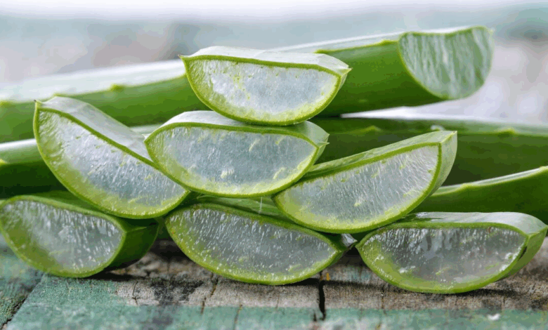 Aloe Vera: Beneficios y Formas Correctas de Consumo