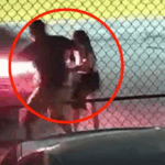 Captan el momento en que hombre embiste a su pareja con automóvil: denuncian intento de feminicidio | VIDEO Captan el momento en que hombre embiste a su pareja con automóvil: denuncian intento de feminicidio | VIDEO