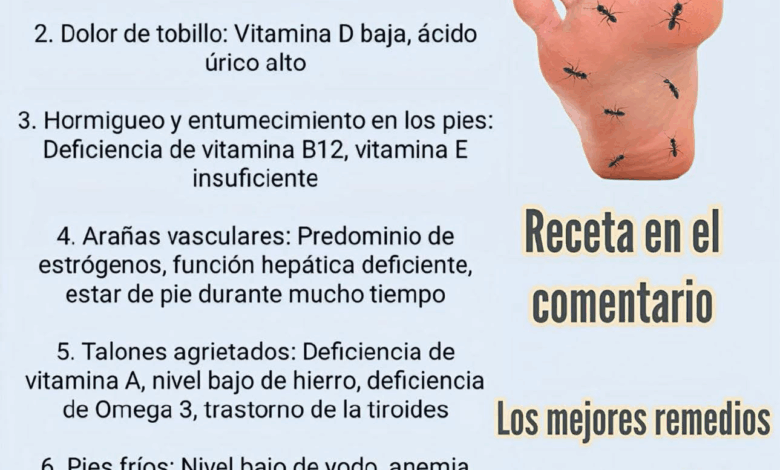 Piernas Ligeras y Sin Hinchazón, El Poder Natural del Té de Perejil