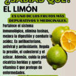 BENEFICIOS DEL LIMÓN BENEFICIOS DEL LIMÓN