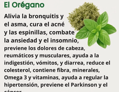 El Té de Orégano para la fuerte tos y limpiar los pulmones El Té de Orégano para la fuerte tos y limpiar los pulmones