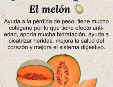 Mucho más que una fruta: los grandes beneficios del melón” Mucho más que una fruta: los grandes beneficios del melón”