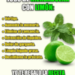 JUGÓ DE HIERBABUENA CON LIMÓN
