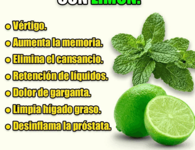 JUGÓ DE HIERBABUENA CON LIMÓN JUGÓ DE HIERBABUENA CON LIMÓN