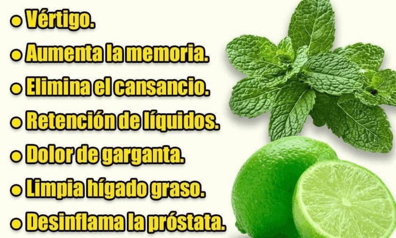 JUGÓ DE HIERBABUENA CON LIMÓN