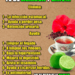 Te flor de Jamaica y limón