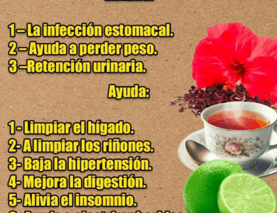 Te flor de Jamaica y limón Te flor de Jamaica y limón