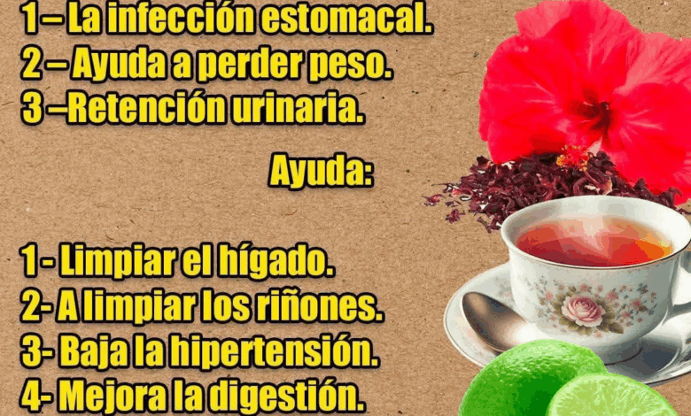 Te flor de Jamaica y limón