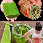 Sabila miel y limón Sabila miel y limón