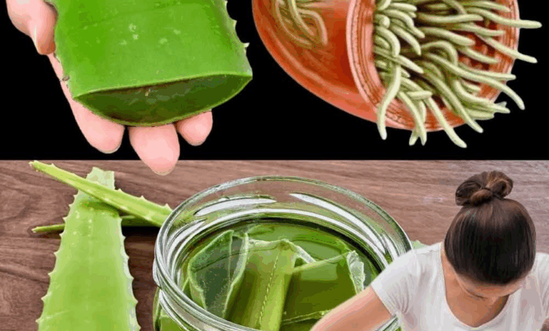 Sabila miel y limón