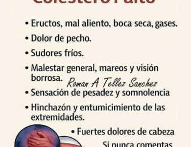 HOJAS DE NÍSPERO PARA BAJAR EL COLESTEROL MALO HOJAS DE NÍSPERO PARA BAJAR EL COLESTEROL MALO