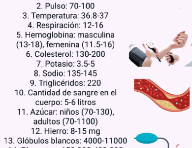 ESTAS SEMILLAS DEJARÍAN SIN TRABAJO ,A MUCHOS DOCTORES ESTAS SEMILLAS DEJARÍAN SIN TRABAJO ,A MUCHOS DOCTORES