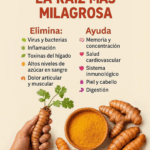 LA RAÍZ QUE LO CURA TODO… ¡Y PROBABLEMENTE YA LA TIENES EN CASA LA RAÍZ QUE LO CURA TODO… ¡Y PROBABLEMENTE YA LA TIENES EN CASA