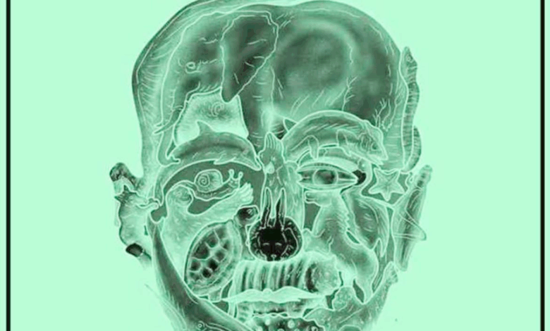 El curioso test visual que promete revelar tu ‘peor defecto’ según el primer animal que veas