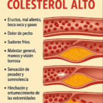 HOJAS DE NÍSPERO PARA BAJAR EL COLESTEROL MALO HOJAS DE NÍSPERO PARA BAJAR EL COLESTEROL MALO