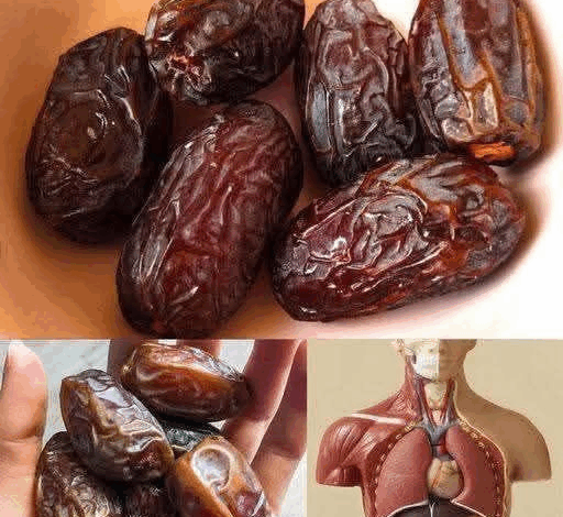 Los Dátiles: La Fruta más Poderosa para tu Salud Digestiva