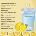Beneficios de beber agua tibia con limón en ayunas Beneficios de beber agua tibia con limón en ayunas
