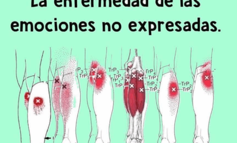 Beneficios del Alcohol de Romero y Laurel para aliviar dolores y varices