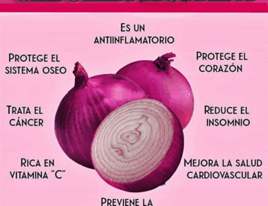 Cebolla Morada: Propiedades, Beneficios y Usos para tu Salud