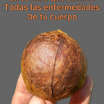 Semilla de Aguacate: ¿Para Qué Sirve y Cómo Usarla? Semilla de Aguacate: ¿Para Qué Sirve y Cómo Usarla?