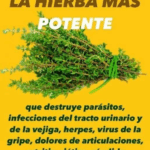 ¡Hervir 5 ramas de romero te librará de más de un problema! ¡Hervir 5 ramas de romero te librará de más de un problema!