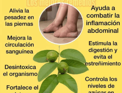 Hojas de Guayaba para la Retención de Líquidos