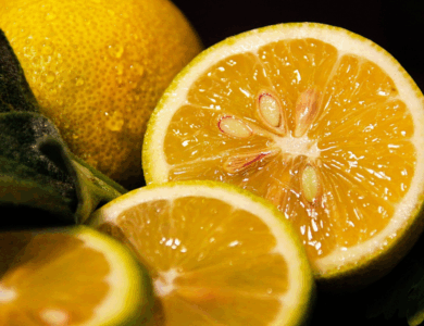 Beneficios y Usos Medicinales de las Semillas de Limón: Propiedades, Recetas y Precauciones Beneficios y Usos Medicinales de las Semillas de Limón: Propiedades, Recetas y Precauciones