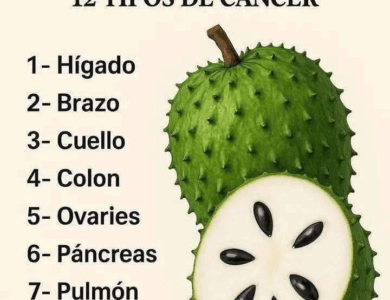 Guanábana: La Fruta Tropical con Poder Medicinal Guanábana: La Fruta Tropical con Poder Medicinal