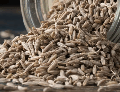 Las 10 Mejores Plantas para Dormir Como un Bebé