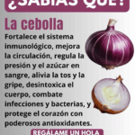 deja de visitar farmacia la solucion esta en tu cocina agua de cebolla deja de visitar farmacia la solucion esta en tu cocina agua de cebolla