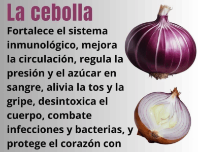deja de visitar farmacia la solucion esta en tu cocina agua de cebolla deja de visitar farmacia la solucion esta en tu cocina agua de cebolla