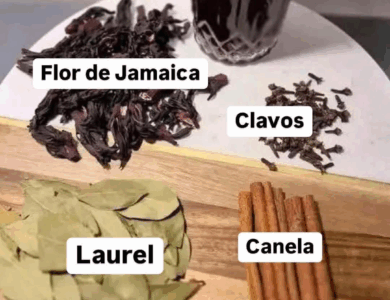 descubre PARA QUÉ SIRVE EL TÉ DE JAMAICA CON LAUREL Y CANELA