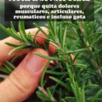 Le llaman morfina natural si sufres de dolores articulares o musculares Le llaman morfina natural si sufres de dolores articulares o musculares