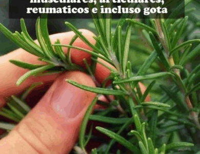 Le llaman morfina natural si sufres de dolores articulares o musculares