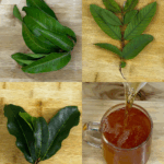 Receta de hojas recomendada por el Dr. Suárez Receta de hojas recomendada por el Dr. Suárez