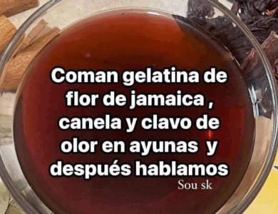 Gelatina de Jamaica con Clavo de Olor Gelatina de Jamaica con Clavo de Olor