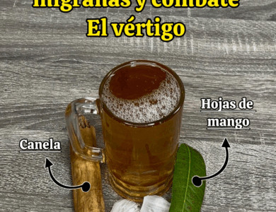 HOJA DE MANGO: Un remedio natural para cuidar tu cerebro, aliviar migrañas y prevenir derrames cerebrales HOJA DE MANGO: Un remedio natural para cuidar tu cerebro, aliviar migrañas y prevenir derrames cerebrales