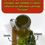 RECETA NATURAL CON ORÉGANO, CANELA Y LIMÓN: Sencilla y poderosa para cuidar tu salud RECETA NATURAL CON ORÉGANO, CANELA Y LIMÓN: Sencilla y poderosa para cuidar tu salud