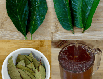 REMEDIO CASERO NATURAL: HOJAS DE MANGO, LAUREL Y GUANÁBANA