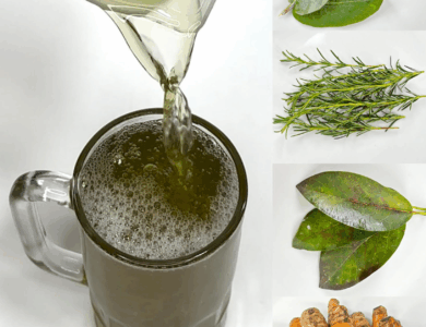 RECETA NATURAL CON HOJAS DE AGUACATE PARA LIMPIAR EL CUERPO Y FORTALECER LA SALUD RECETA NATURAL CON HOJAS DE AGUACATE PARA LIMPIAR EL CUERPO Y FORTALECER LA SALUD