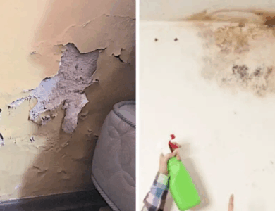 Cómo quitar la humedad de las paredes y que no vuelva nunca más: guía práctica y consejos clave Cómo quitar la humedad de las paredes y que no vuelva nunca más: guía práctica y consejos clave