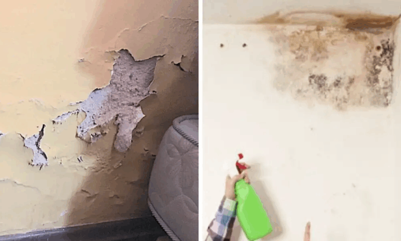 Cómo quitar la humedad de las paredes y que no vuelva nunca más: guía práctica y consejos clave
