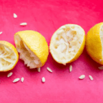 ¡Beneficios sorprendentes de las semillas de limón que no sabías! ¡Beneficios sorprendentes de las semillas de limón que no sabías!