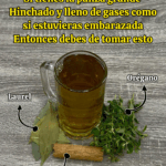 ¿Barriga hinchada como si estuvieras embarazada? Prueba esta infusión natural ¿Barriga hinchada como si estuvieras embarazada? Prueba esta infusión natural